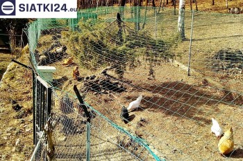 Siatki Czechowice-Dziedzice - Siatka na woliery - zabezpieczenia ptaków w hodowli dla terenów Czechowic-Dziedzic